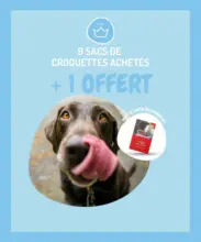 9 sacs de croquettes achetés + 1 sac OFFERT