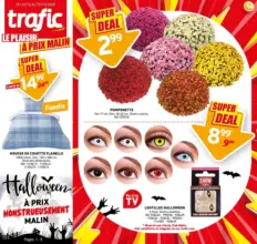 Notre Folder de la semaine