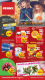 Catalog PENNY până în data de 28.10.2025