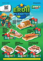 Catalog Diana până în data de 31.10.2025