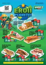 Catalog Diana până în data de 31.10.2025