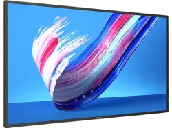 Philips 43BDL3650Q/00 Q-Line-Monitor 42.5 Zoll