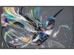 Philips 43BDL3511Q/00 Signage Solutions Q-Line-Monitor 42.5 Zoll