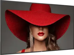 Philips 65BDL4650D/00 D-Line-Monitor 64.5 Zoll