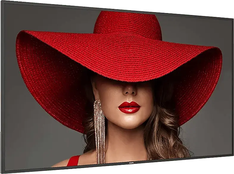 Philips 65BDL4650D/00 D-Line-Monitor 64.5 Zoll