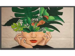 Philips 50BDL4511D/00 D-Line-Monitor 49.5 Zoll