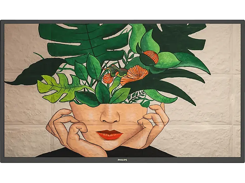 Philips 50BDL4511D/00 D-Line-Monitor 49.5 Zoll