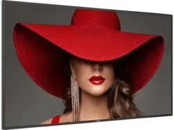 Philips 55BDL4650D/00 D-Line-Monitor 54.6 Zoll