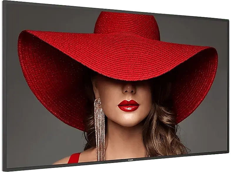 Philips 55BDL4650D/00 D-Line-Monitor 54.6 Zoll