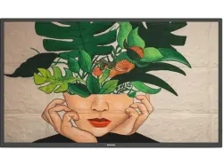 Philips 65BDL4511D/00 D-Line-Monitor 64.5 Zoll