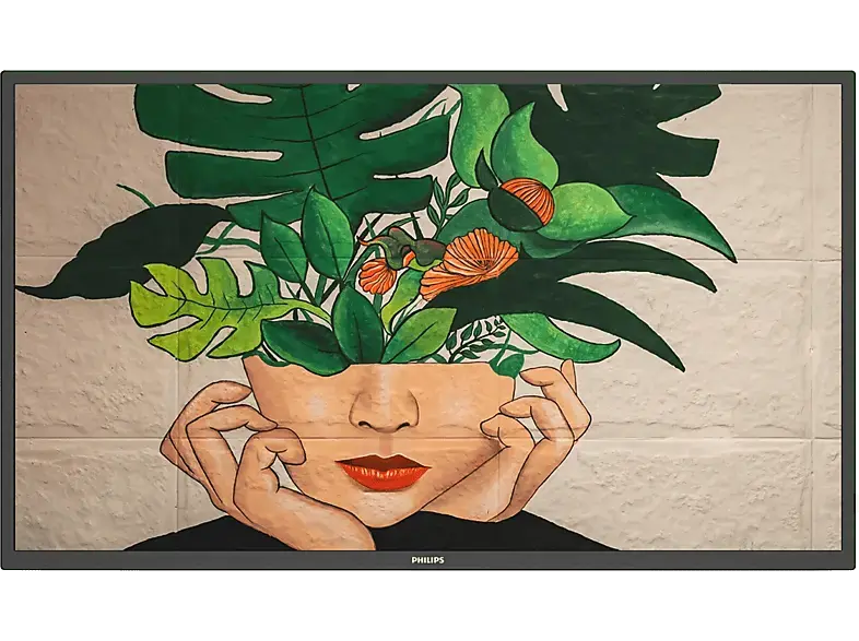 Philips 65BDL4511D/00 D-Line-Monitor 64.5 Zoll