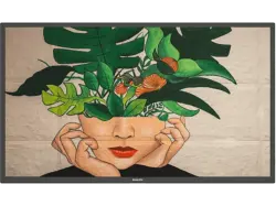 Philips 55BDL4511D/00 D-Line-Monitor 54.6 Zoll