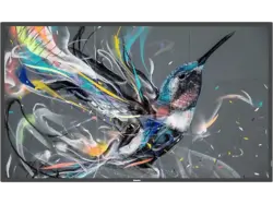 Philips 86BDL3511Q/00 Q-Line-Monitor 85.6 Zoll