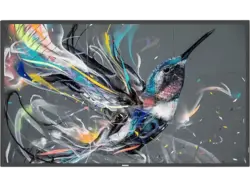 Philips 65BDL3511Q/00 Q-Line-Monitor 64.5 Zoll