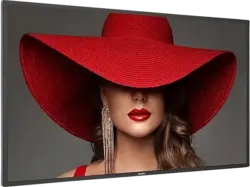 Philips 43BDL4650D/00 D-Line-Monitor 42.5 Zoll