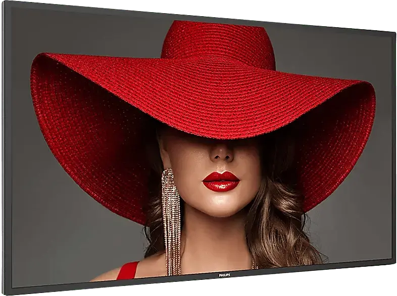 Philips 43BDL4650D/00 D-Line-Monitor 42.5 Zoll