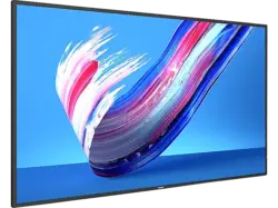 Philips 55BDL3650Q/00 Q-Line-Monitor 54.6 Zoll