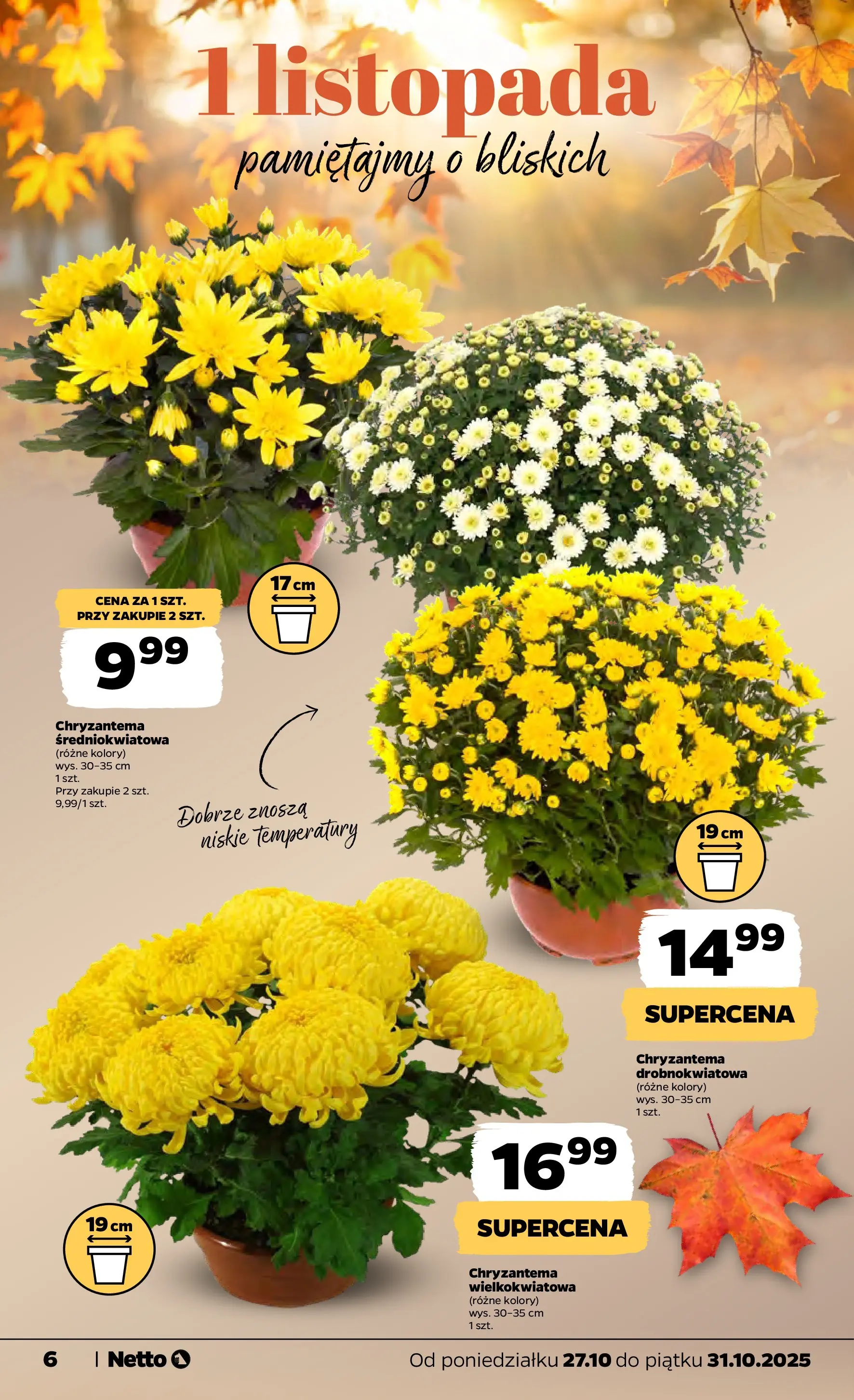 Netto - NETTO T44A ważne do 31.10 od 26.10.2025 - Aktualne promocje | Strona: 6