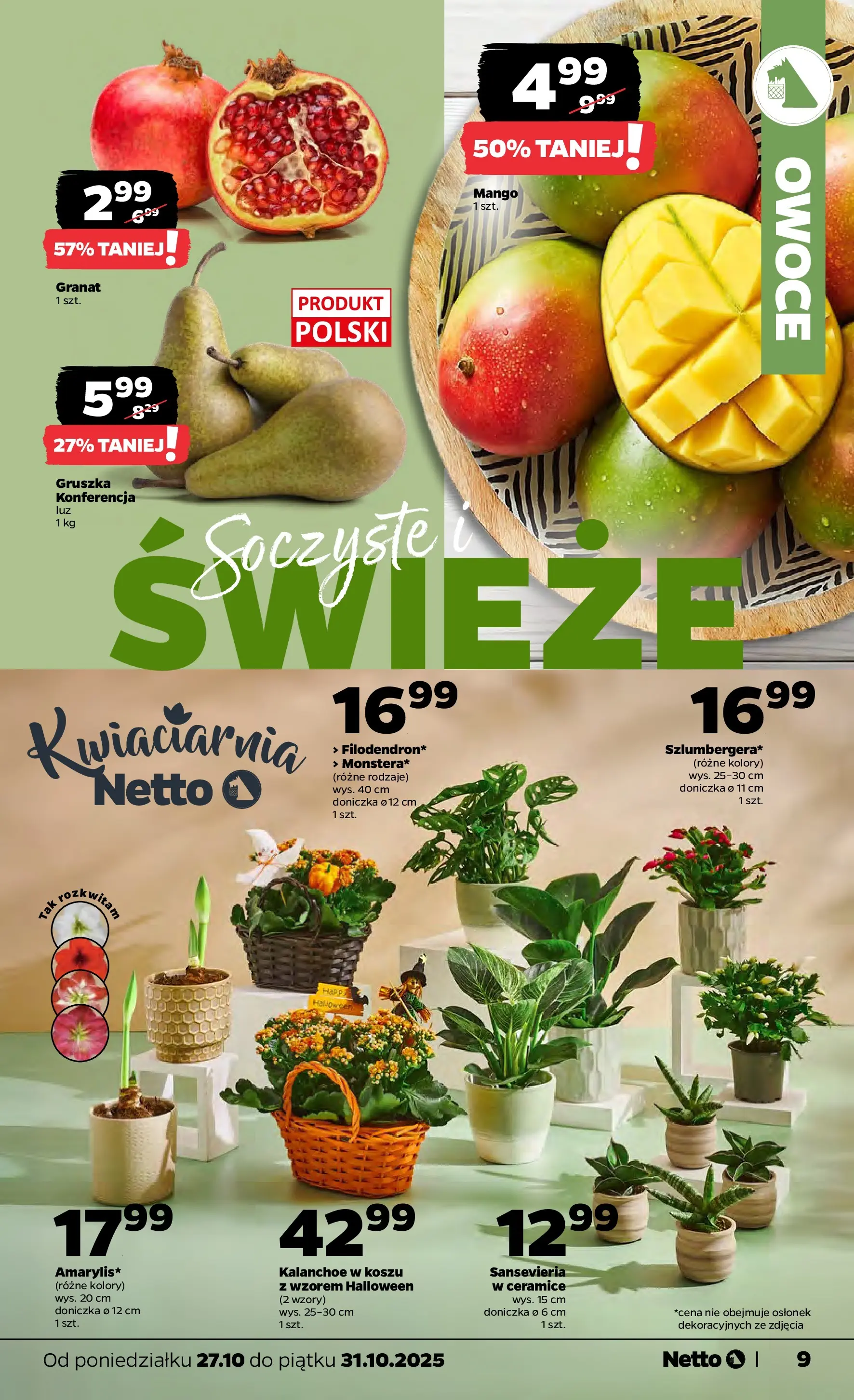 Netto - NETTO T44A ważne do 31.10 od 26.10.2025 - Aktualne promocje | Strona: 9 | Produkty: Mango, Gruszka, Doniczka, Kalanchoe
