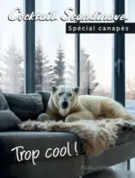 Cocktail Scandinave Sp&eacute;cial canap&eacute;s 2025 - au 31.12.2025