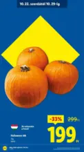 Lidl újság érvényessége 2025.10.29-ig