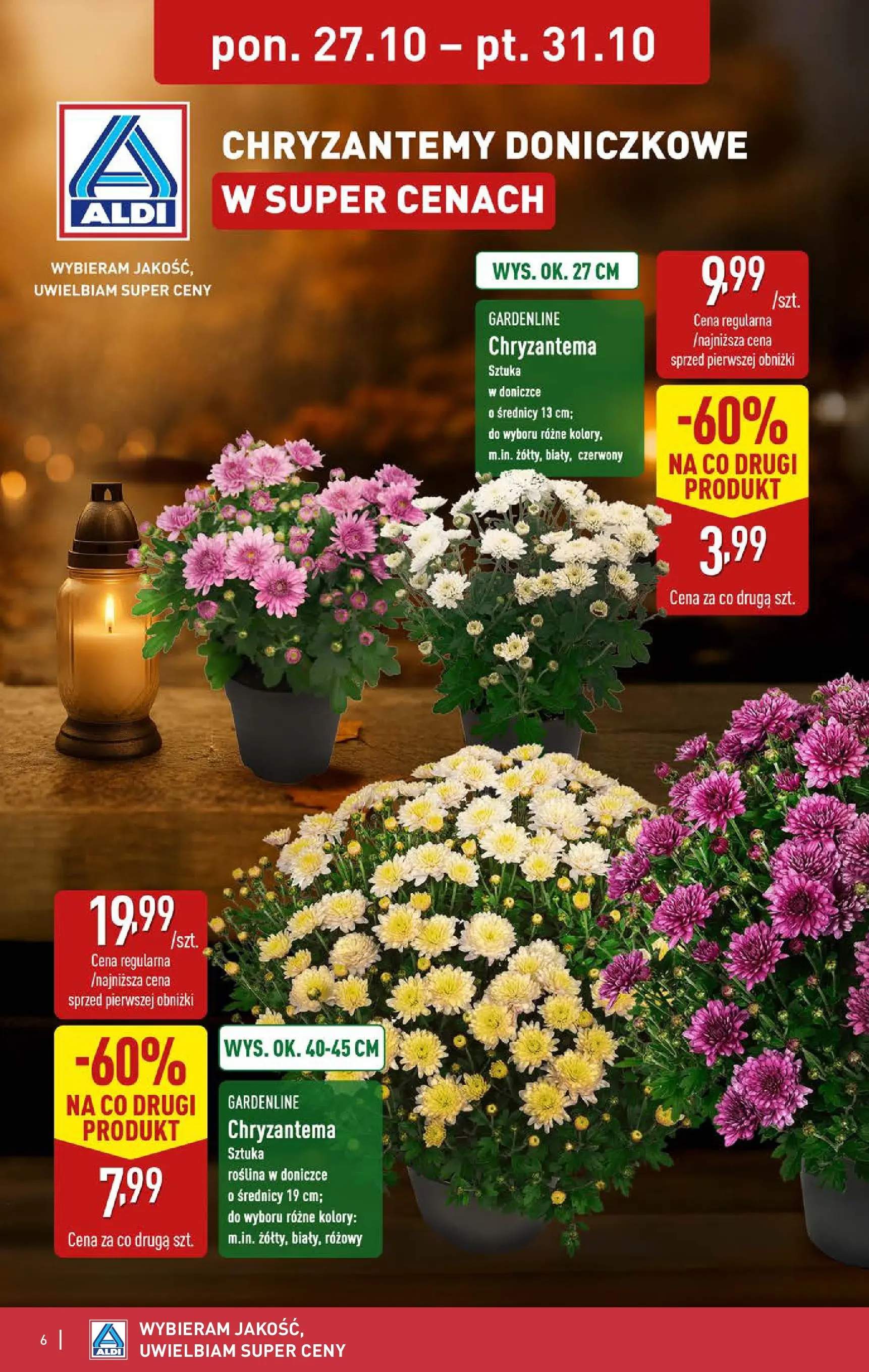 Aldi Gazetka od 27.10.2025 - Ulotka PDF, promocje | Strona: 6 | Produkty: Chryzantemy