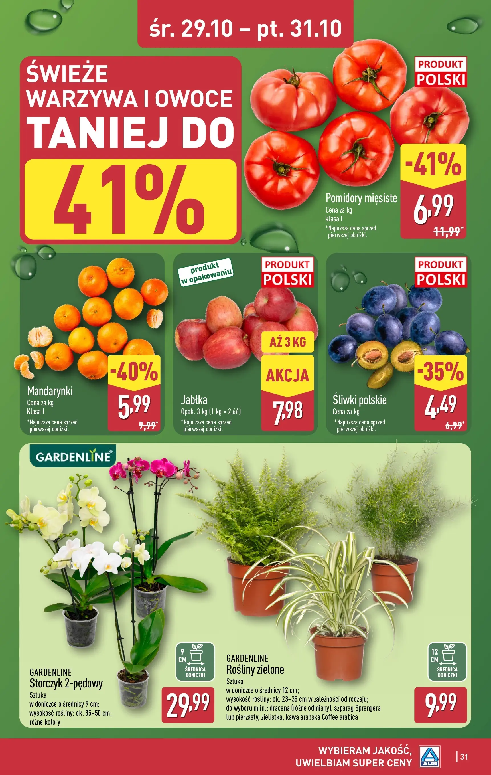 Aldi Gazetka od 27.10.2025 - Ulotka PDF, promocje | Strona: 31 | Produkty: Śliwki, Rosliny, Doniczki, Owoce