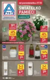 Światełko pamięci z ALDI