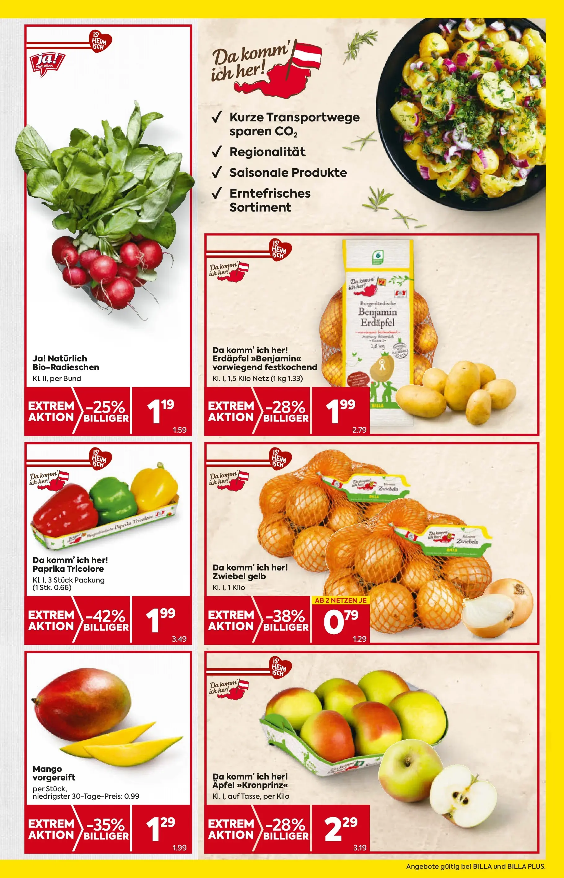Billa - BILLA: Flugblatt gültig bei BILLA & BILLA PLUS ab 29.10.2025 - Angebote, Prospekt | Seite: 13