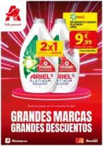 Alcampo Grandes Marcas Grandes Descuentos - hasta el 05.11.2025