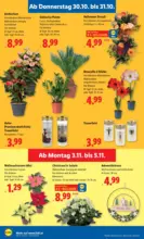 Lidl Lidl: Flugblatt in deiner Nähe - ab 30.10.2025