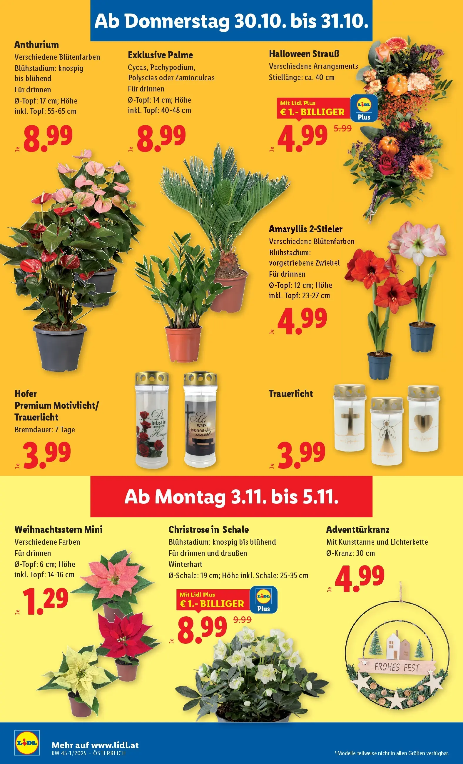 Lidl - Lidl: Flugblatt in deiner Nähe ab 29.10.2025 - Angebote ab donnerstag | Seite: 26