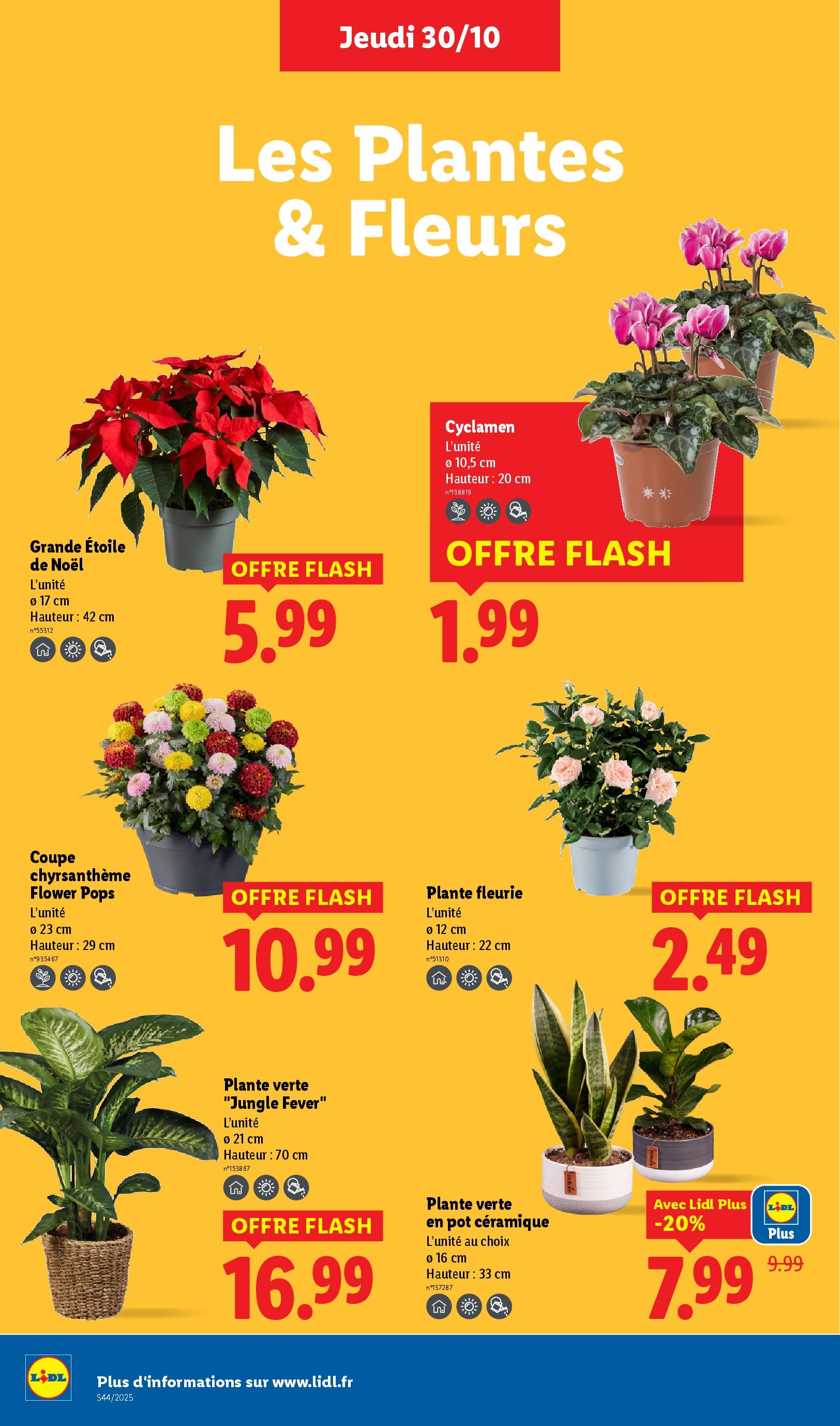 Catalogue LIDL du 29/10/2025 | Promo prospectus en ligne | Page: 32 Catalogue LIDL du 29/10/2025 | Promo prospectus en ligne | Page: 32
