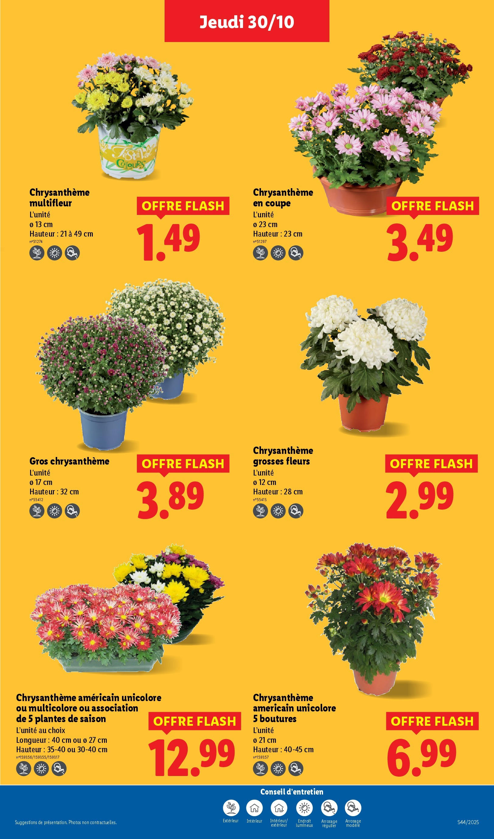 Catalogue LIDL du 29/10/2025 | Promo prospectus en ligne | Page: 33 Catalogue LIDL du 29/10/2025 | Promo prospectus en ligne | Page: 33