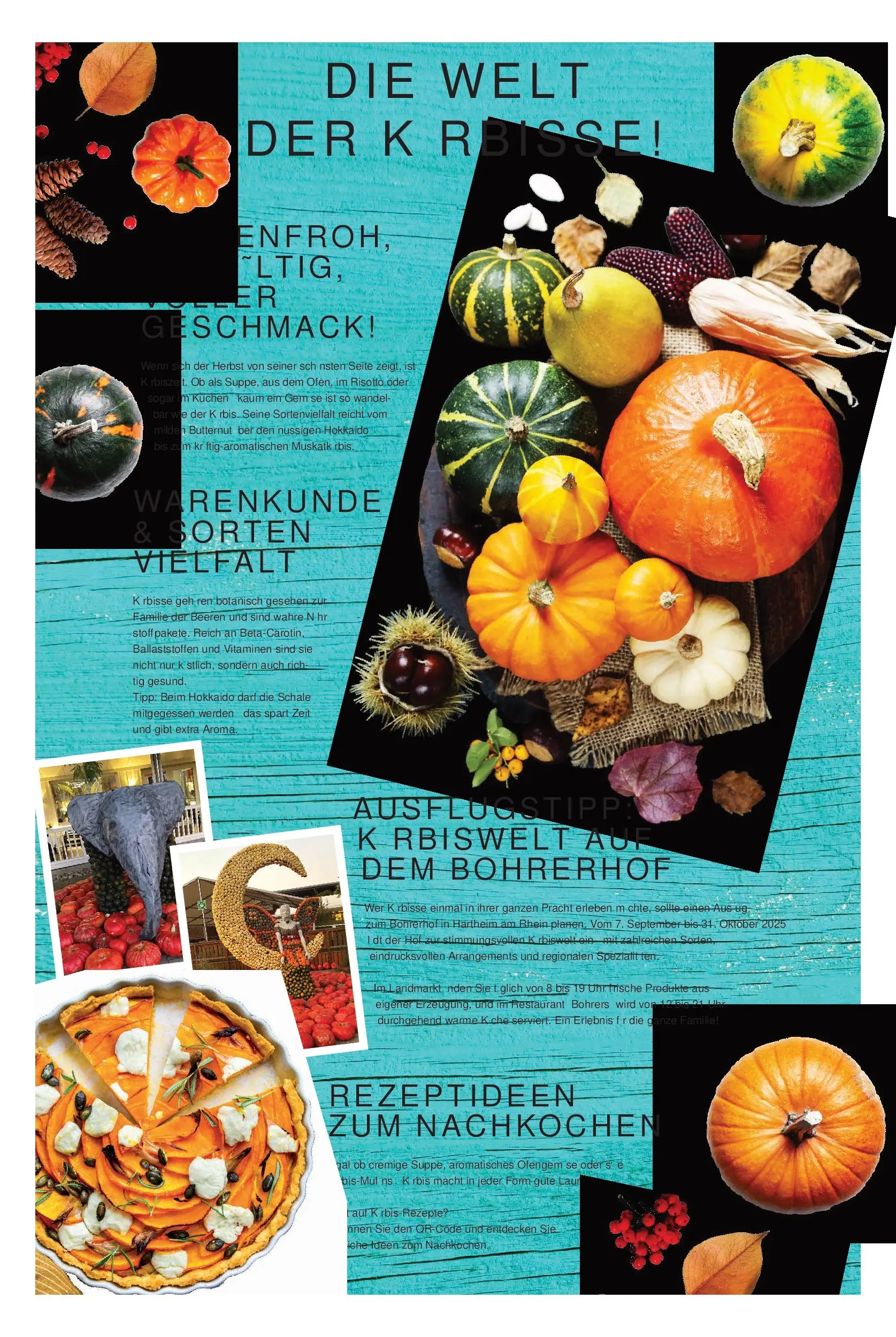 Entdecke - Hieber's Frischecenter: Meine Woche (ab 26.10.2025) zum Blättern | Seite: 2 | Produkte: Kuchen, Uhr