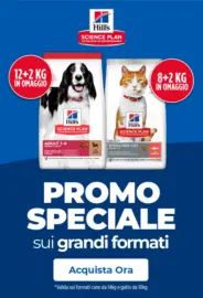 Promo speciale