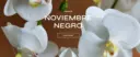 Noviembre Negro