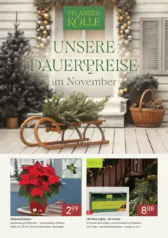 Pflanzen-Kölle Dauerpreise im November ab 01.11.2025 gültig
