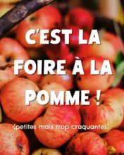 L'occasion de vous proposer une promo 100 % pomme 100 % française, avec une sélection de 6 petites pommes à un super petit prix !