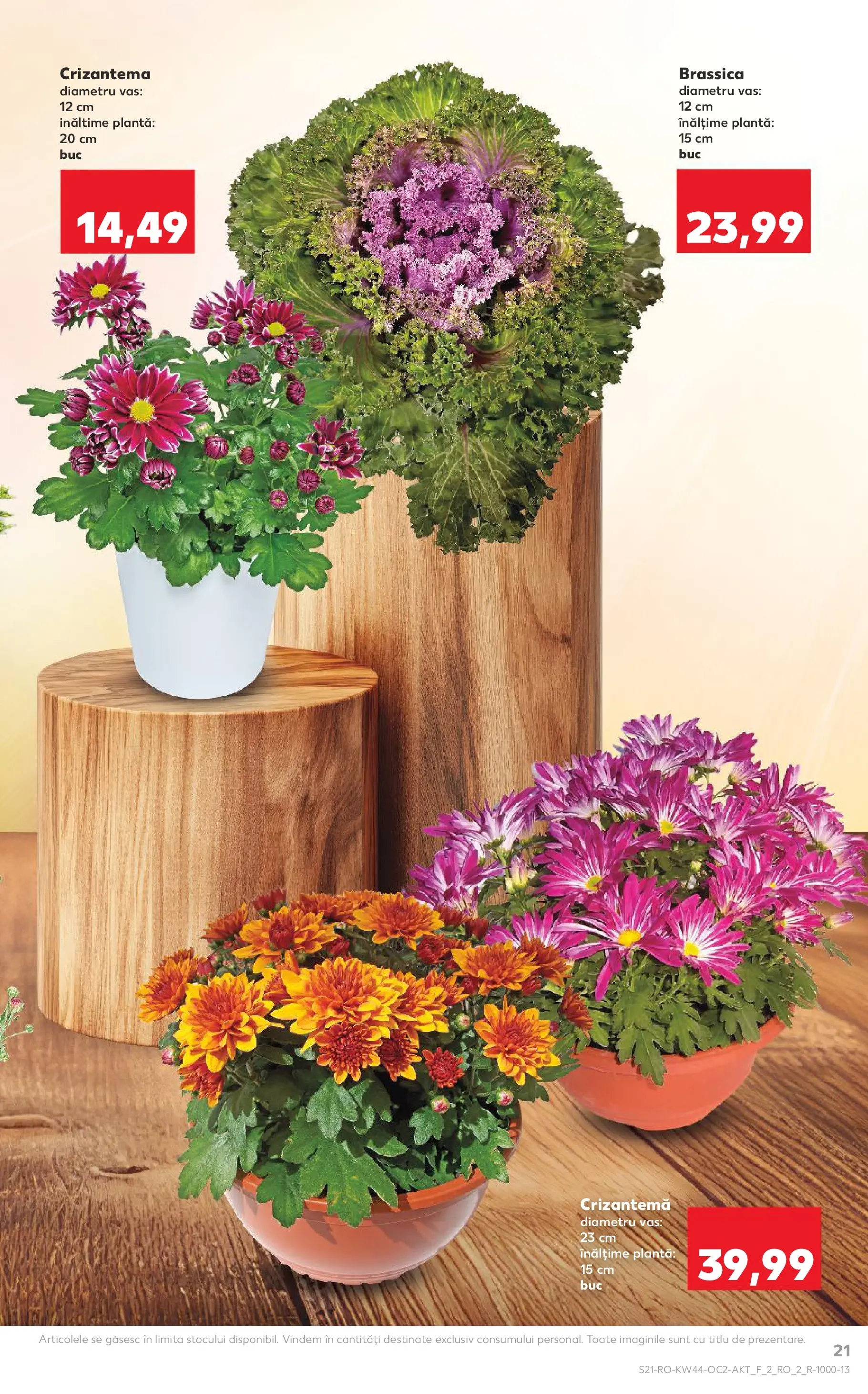 Catalog Kaufland - Târgu Mureș 28.10.2025 || Revista si Oferte | Pagină: 21 Catalog Kaufland - Târgu Mureș 28.10.2025 - Revista si Oferta | Pagină: 21
