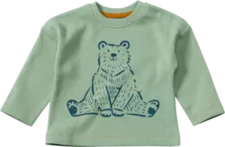 ALANA Pullover mit Waffel-Struktur & Bären-Motiv, grün, Gr. 80