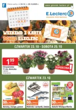 Ekskluzywne oferty dla naszych klientów