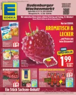 EDEKA Kutsche Wochenangebote - bis 01.11.2025