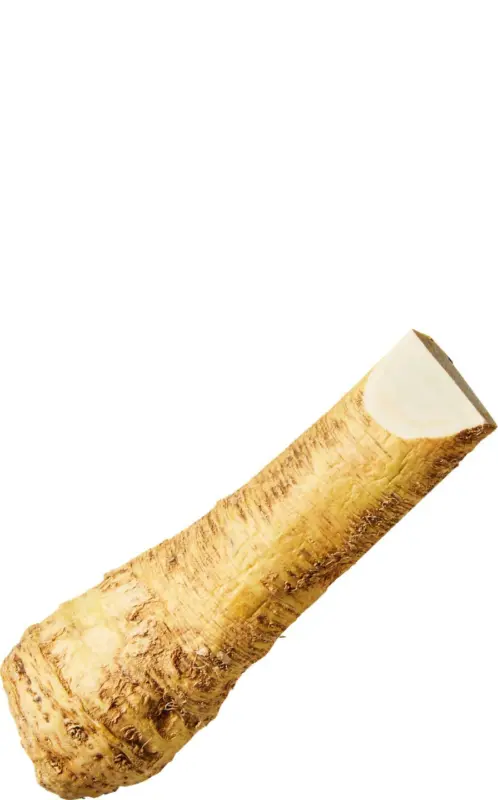 Хрян бр.
