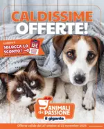 Il Gigante Caldissime Offerte - al 23.11.2025