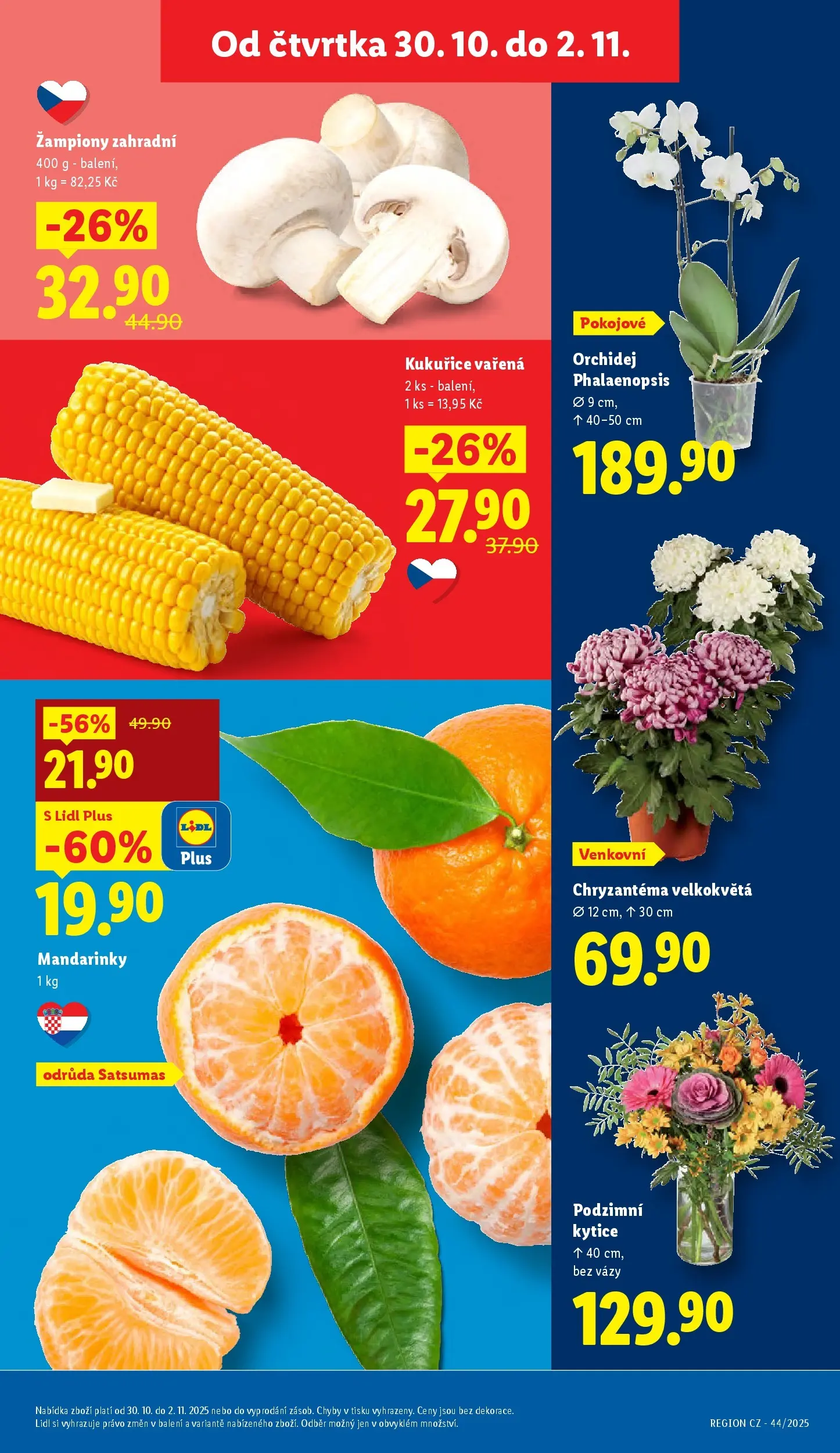 Lidl leták od 29.10.2025 - Nový akční leták | Strana: 7 | Produkty: Orchidej, Mandarinky, Vázy, Kytice