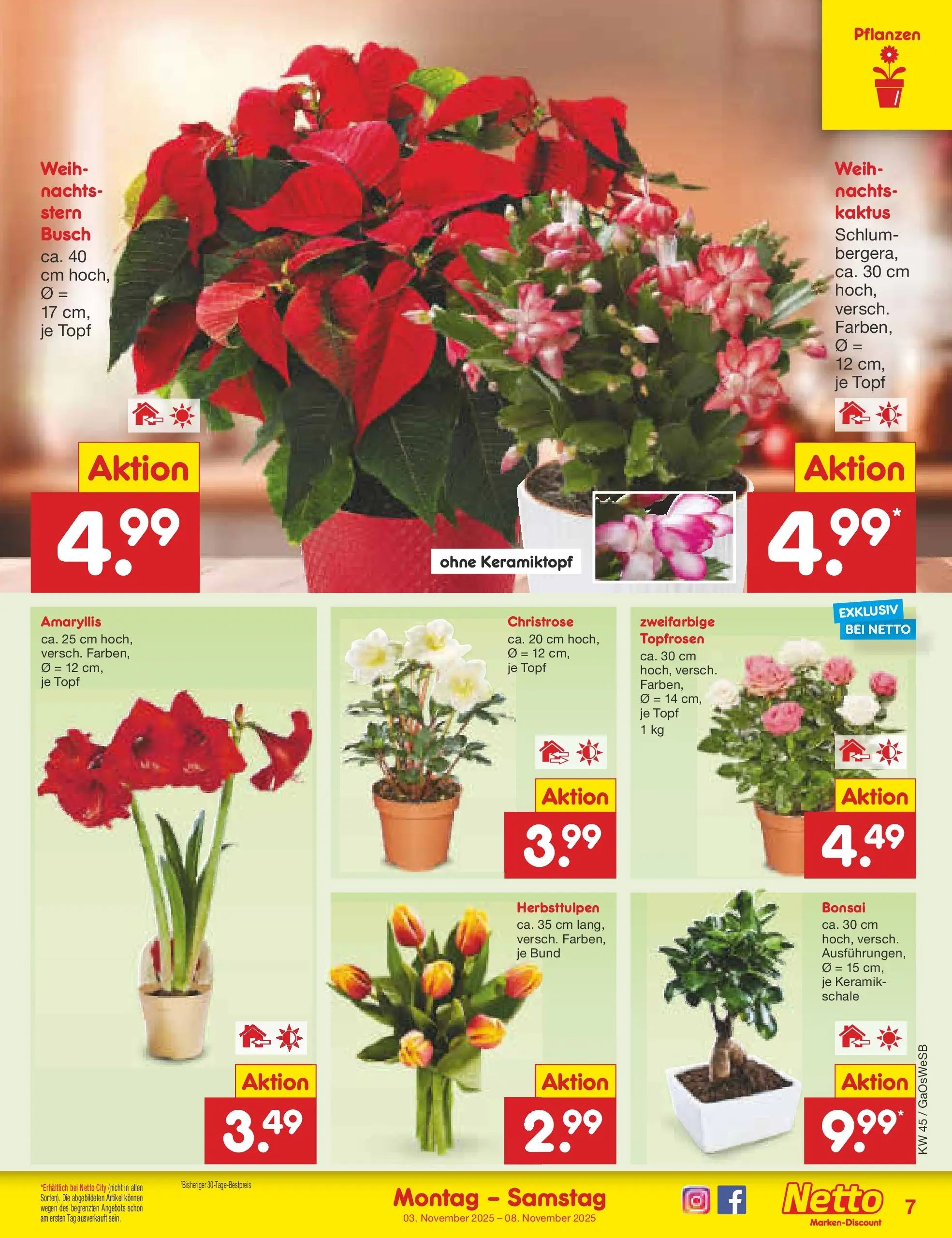 Netto Marken-Discount prospekt Moormerland (ab 03.11.2025) » Angebote | Seite: 7 Netto Marken-Discount prospekt Moormerland (ab 03.11.2025) » Angebote | Seite: 7