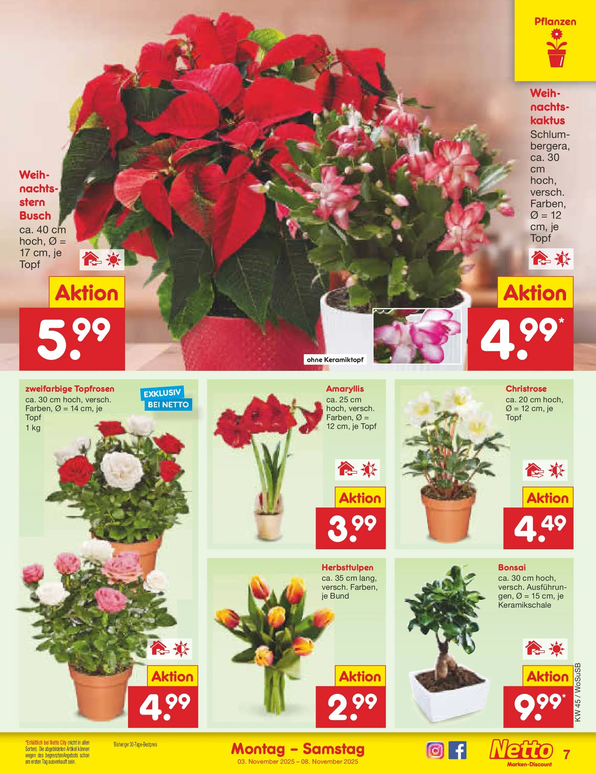 Netto Marken-Discount prospekt Mannheim	 (ab 03.11.2025) » Angebote | Seite: 7 Netto Marken-Discount prospekt Mannheim	 (ab 03.11.2025) » Angebote | Seite: 7