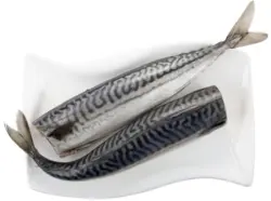 Скумрия без глава