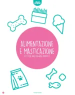 Best Friend Volantino Alimentazione e Masticazione - al 12.11.2025